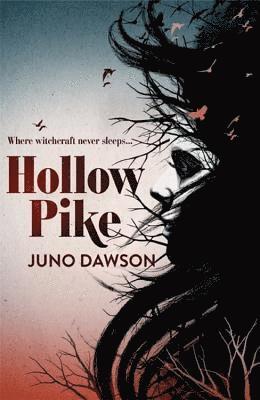 Juno Dawson - Hollow Pike, Häftad