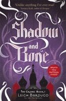 bokomslag Shadow and Bone