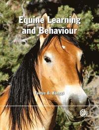 bokomslag Equine Learning and Behaviour
