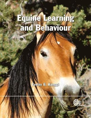 Equine Learning and Behaviour 1