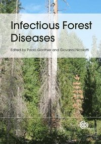 bokomslag Infectious Forest Diseases