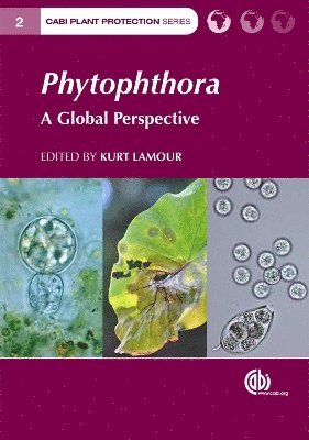 Phytophthora 1