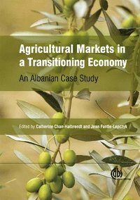 bokomslag Agricultural Markets in a Transitioning Economy