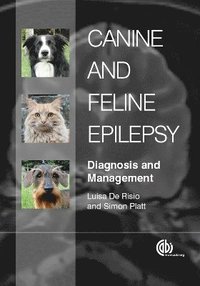 bokomslag Canine and Feline Epilepsy