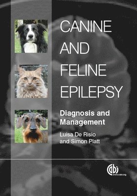 Luisa De Risio, Simon Platt - Canine and Feline Epilepsy, Inbunden