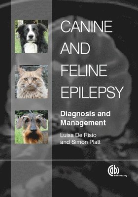 bokomslag Canine and Feline Epilepsy