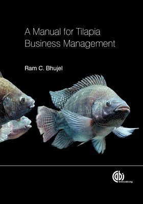 bokomslag Manual for Tilapia Business Management, A