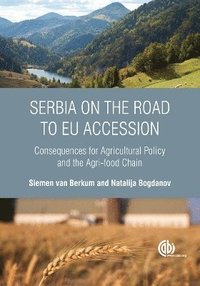 bokomslag Serbia on the Road to EU Accession