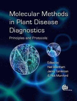bokomslag Molecular Methods in Plant Disease Diagnostics