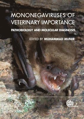 Mononegaviruses of Veterinary Importance, Volume 1 1