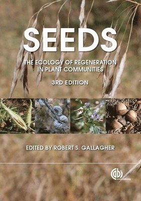 bokomslag Seeds