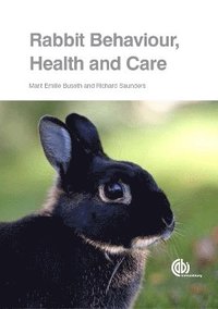 bokomslag Rabbit Behaviour, Health and Care