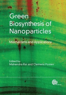 bokomslag Green Biosynthesis of Nanoparticles