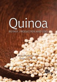 bokomslag Quinoa