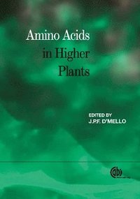 bokomslag Amino Acids in Higher Plants