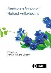 bokomslag Plants as a Source of Natural Antioxidants