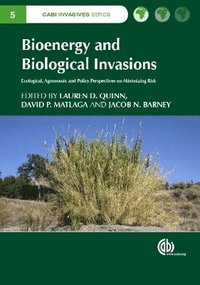 bokomslag Bioenergy and Biological Invasions