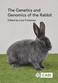 bokomslag Genetics and Genomics of the Rabbit, The
