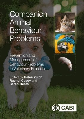 bokomslag Companion Animal Behaviour Problems