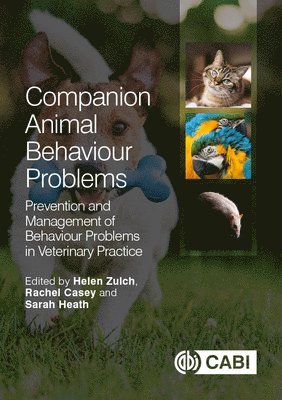 Rachel Casey, Sarah Heath, Helen Zulch, UK) Casey, Rachel (Dogs Trust, UK) Heath, Sarah (University of Liverpool, UK) Zulch, Helen (Dogs Trust - Companion Animal Behaviour Problems, Häftad