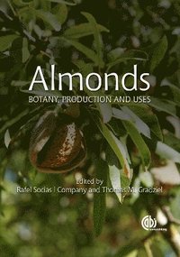 bokomslag Almonds