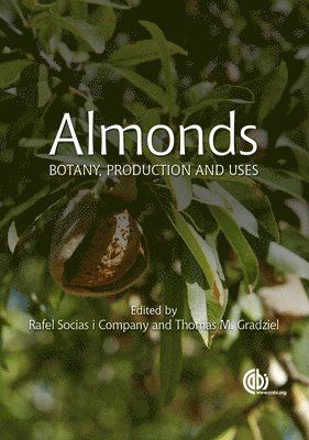 Almonds 1