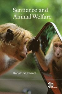 bokomslag Sentience and Animal Welfare