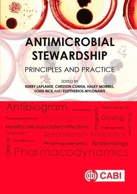 Kerry LaPlante, Cheston Cunha, Haley Appaneal, Louis Rice, Eleftherios Mylonakis - Antimicrobial Stewardship, Inbunden