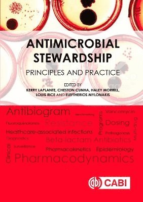 bokomslag Antimicrobial Stewardship