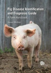 bokomslag Pig Disease Identification and Diagnosis Guide