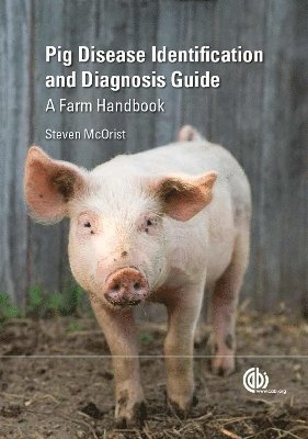 bokomslag Pig Disease Identification and Diagnosis Guide