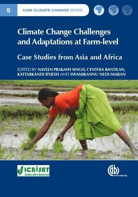 Naveen P Singh, Cynthia Bantilan, Kattarkandi Byjesh, Swamikannu Nedumaran - Climate Change Challenges and Adaptations at Farm-level, Inbunden