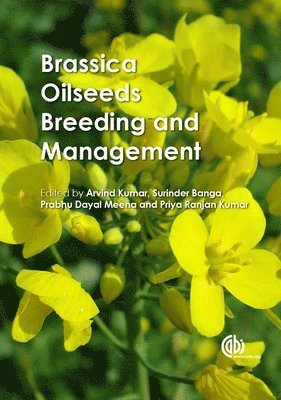 Arvind Kumar, Surinder S Banga, Prabhu Dayal Meena, Priya Priya - Brassica Oilseeds, Inbunden