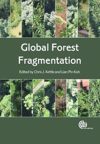 bokomslag Global Forest Fragmentation