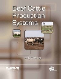 bokomslag Beef Cattle Production Systems