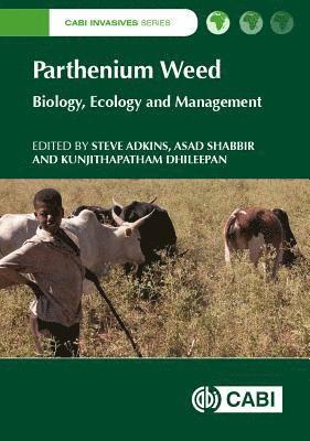 Parthenium Weed 1