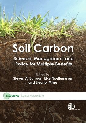 Steven A Banwart, Elke Noellemeyer, Eleanor Milne - Soil Carbon, Inbunden