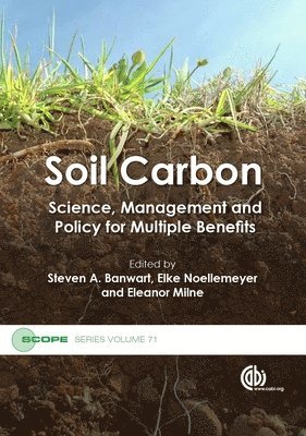 bokomslag Soil Carbon