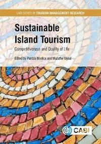 bokomslag Sustainable Island Tourism