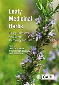 bokomslag Leafy Medicinal Herbs