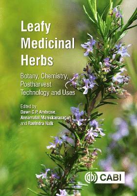 Leafy Medicinal Herbs 1