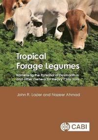 bokomslag Tropical Forage Legumes