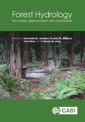 bokomslag Forest Hydrology