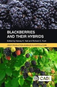 bokomslag Blackberries and Their Hybrids