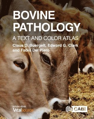 bokomslag Bovine Pathology