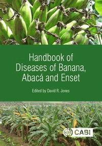 bokomslag Handbook of Diseases of Banana, Abac and Enset