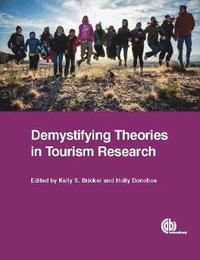 bokomslag Demystifying Theories in Tourism Research