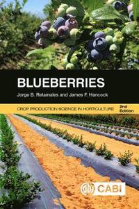 bokomslag Blueberries