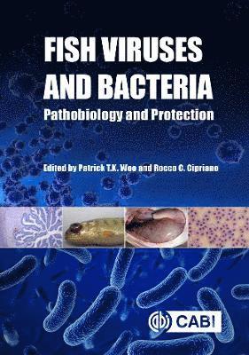 Fish Viruses and Bacteria