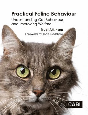Trudi Atkinson - Practical Feline Behaviour, Häftad